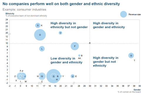 Feb 17 2015 Gender and Ethnic Diversity Performance